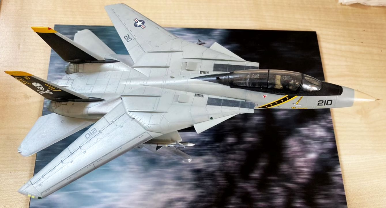 Hasegawa F-14A Tomcat (High Visibility) 1/72